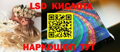 стаф Краснодар