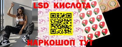 стаф Краснодар