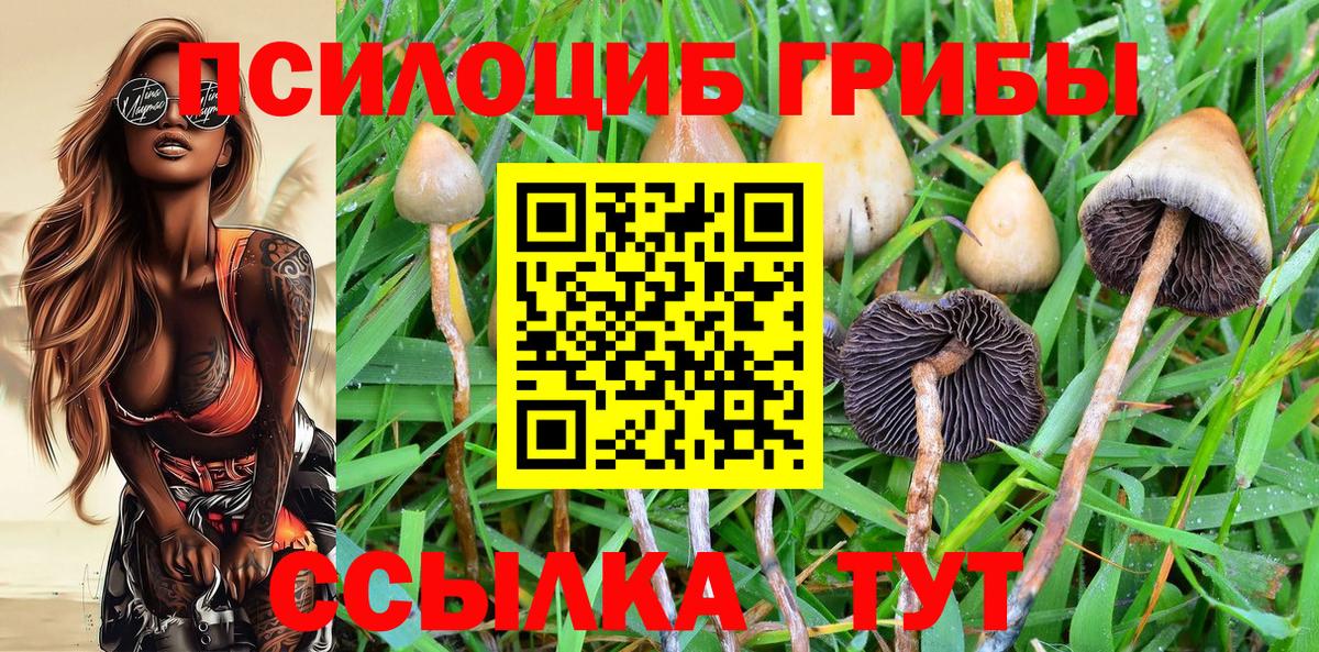 Карталы  Галлюциногенные грибы GOLDEN TEACHER  Вход с VPN  Галлюциногенные грибы мухоморы 